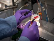 This hydrogen fuel machine could be the ultimate guide to self improvement