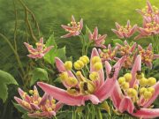 Unusual fossil reveals last meal of prehistoric pollinator