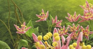 Unusual fossil reveals last meal of prehistoric pollinator