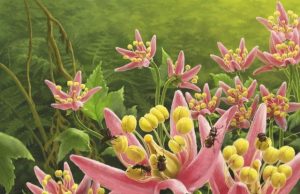 Unusual fossil reveals last meal of prehistoric pollinator Unusual fossil reveals last meal of prehistoric pollinator