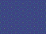 Water and quantum magnets share critical physics