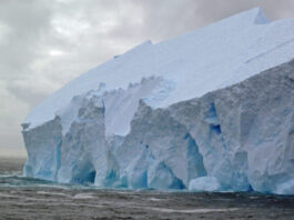 Antarctic ice sheet melting to lift sea level higher than thought study says