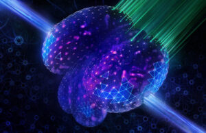 Artificial intelligence makes great microscopes better than ever