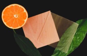 Citrus derivative makes transparent wood 100 percent renewable