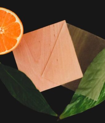 Citrus derivative makes transparent wood 100 percent renewable Citrus derivative makes transparent wood 100 percent renewable