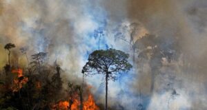 Climate change Amazon may be turning from friend to foe