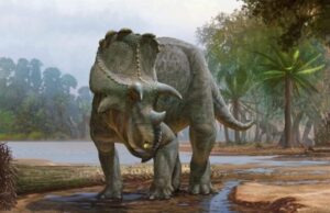 Newly described horned dinosaur from New Mexico was the earliest of its kind
