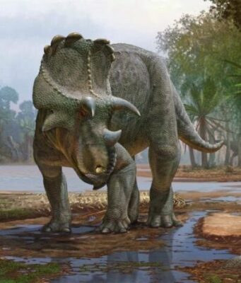 Newly described horned dinosaur from New Mexico was the earliest of its kind