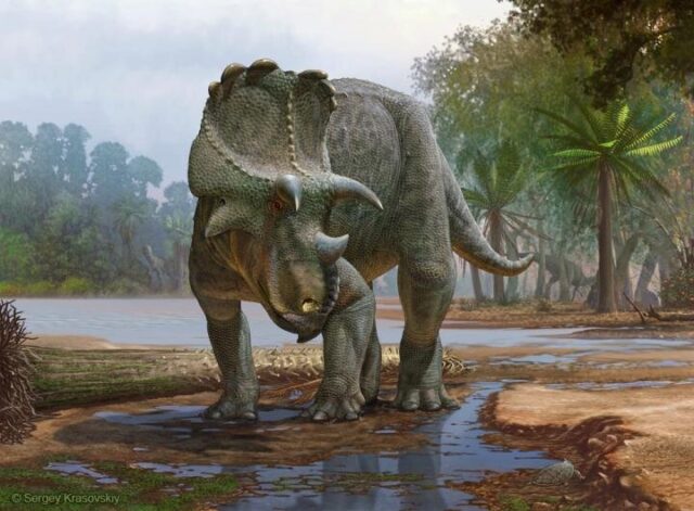 Newly described horned dinosaur from New Mexico was the earliest of its kind