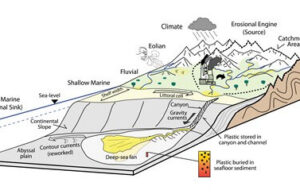 Plastic pollution in the deep sea