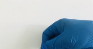 Will your future clothes be made of algae