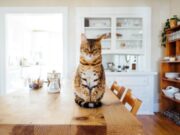 Photo by Paul Hanaoka on UNSPLASH