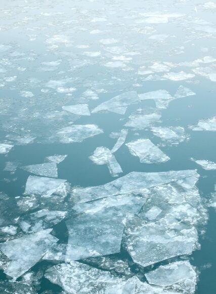 Earths cryosphere is shrinking by 87000 square kilometers per year