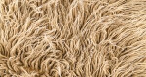 Microbially produced fibers Stronger than steel tougher than Kevlar