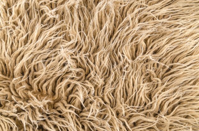 Microbially produced fibers Stronger than steel tougher than Kevlar