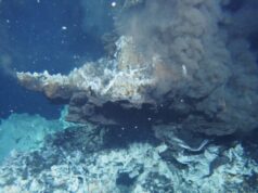 bacteria deep sea vents header