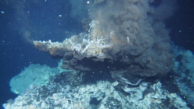 bacteria deep sea vents header